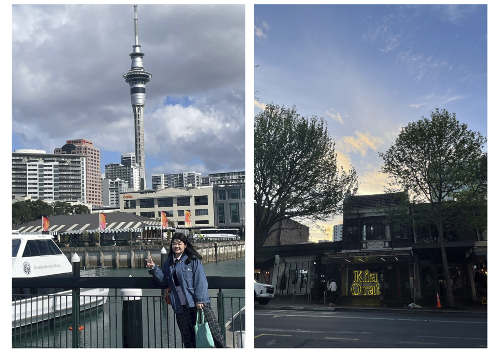 ALL_news_article_26D12_uOjVyoitOk