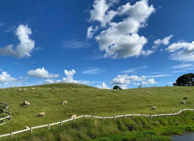 【2026紐西蘭遊學全攻略】遊學費用、城市、簽證、語言學校完整解析